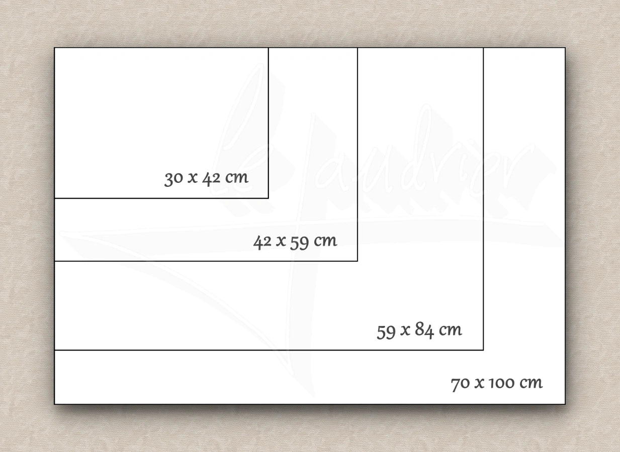 Visual comparison of paper sizes (30 x 42 cm, 42 x 59 cm, 59 x 84 cm, and 100 x 70 cm) using nested rectangles to illustrate their relative dimensions