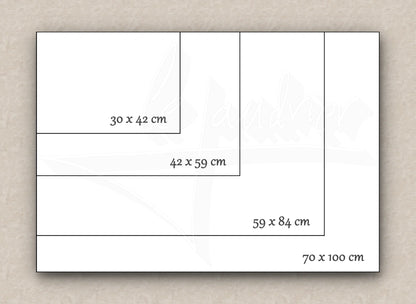 Visual comparison of paper sizes (30 x 42 cm, 42 x 59 cm, 59 x 84 cm, and 100 x 70 cm) using nested rectangles to illustrate their relative dimensions