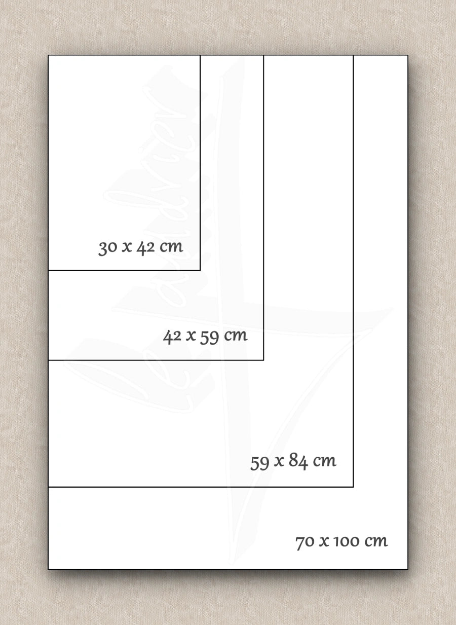 Visual comparison of paper sizes (30 x 42 cm, 42 x 59 cm, 59 x 84 cm, and 100 x 70 cm) using nested rectangles to illustrate their relative dimensions