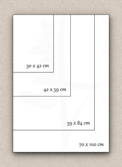 Visual comparison of paper sizes (30 x 42 cm, 42 x 59 cm, 59 x 84 cm, and 100 x 70 cm) using nested rectangles to illustrate their relative dimensions